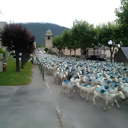 Dans Bazus-Aure